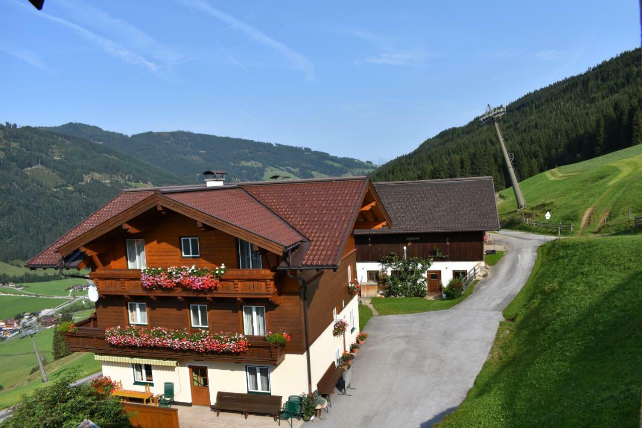 Vorderstuhlhof Διαμέρισμα Kleinarl Εξωτερικό φωτογραφία